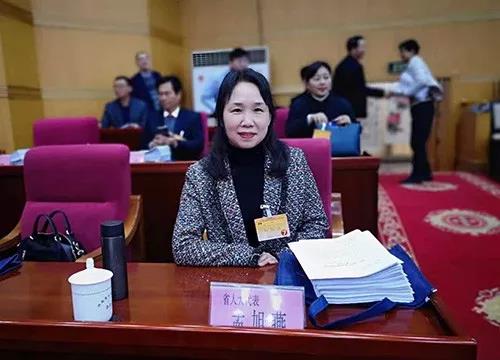 河南省人大代表、信陽市靈石科技有限公司副總經理、高級工程師孟旭燕參加省第十三屆人大常委會第七次會議。